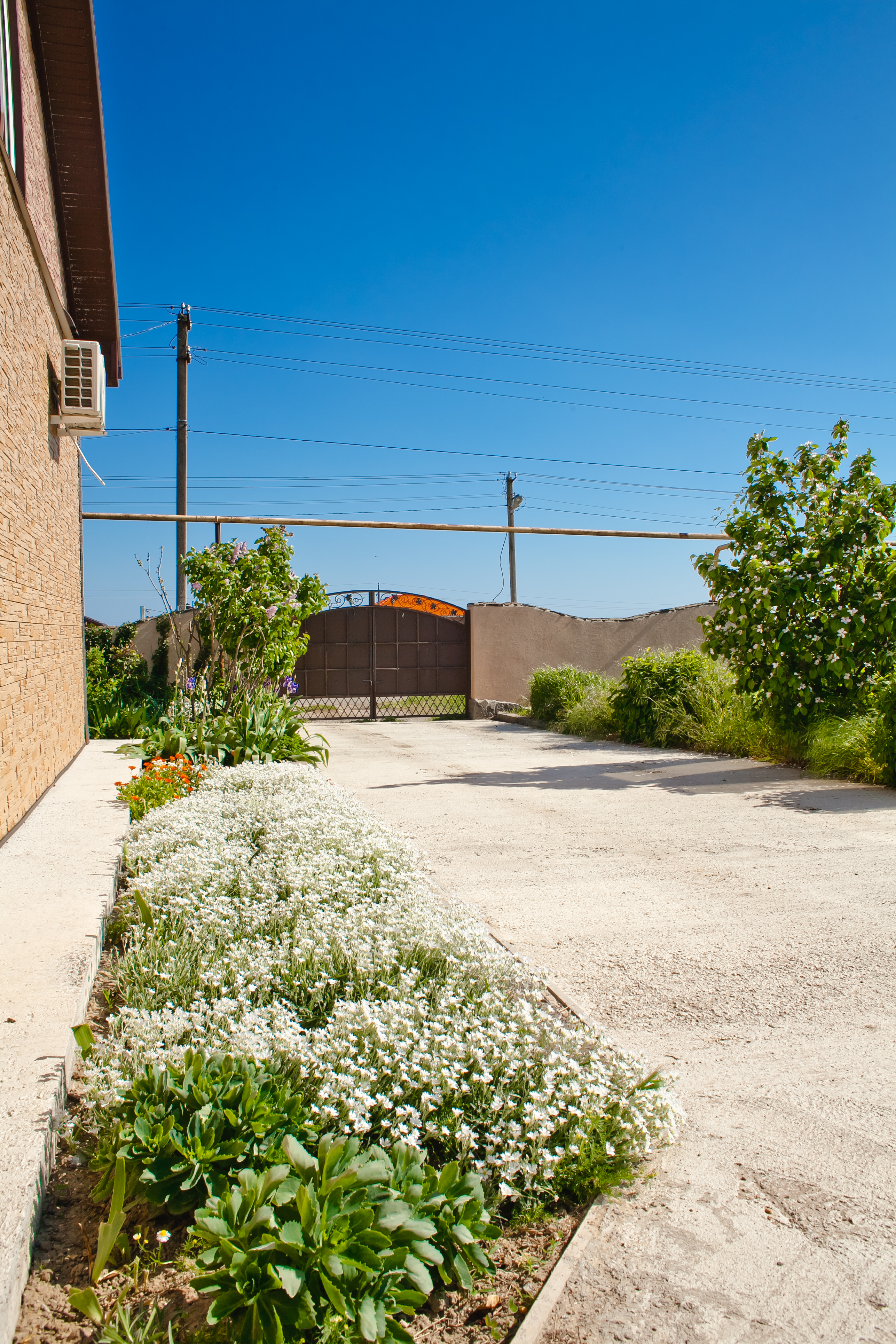 Фото Дом Ленивый Дельфин