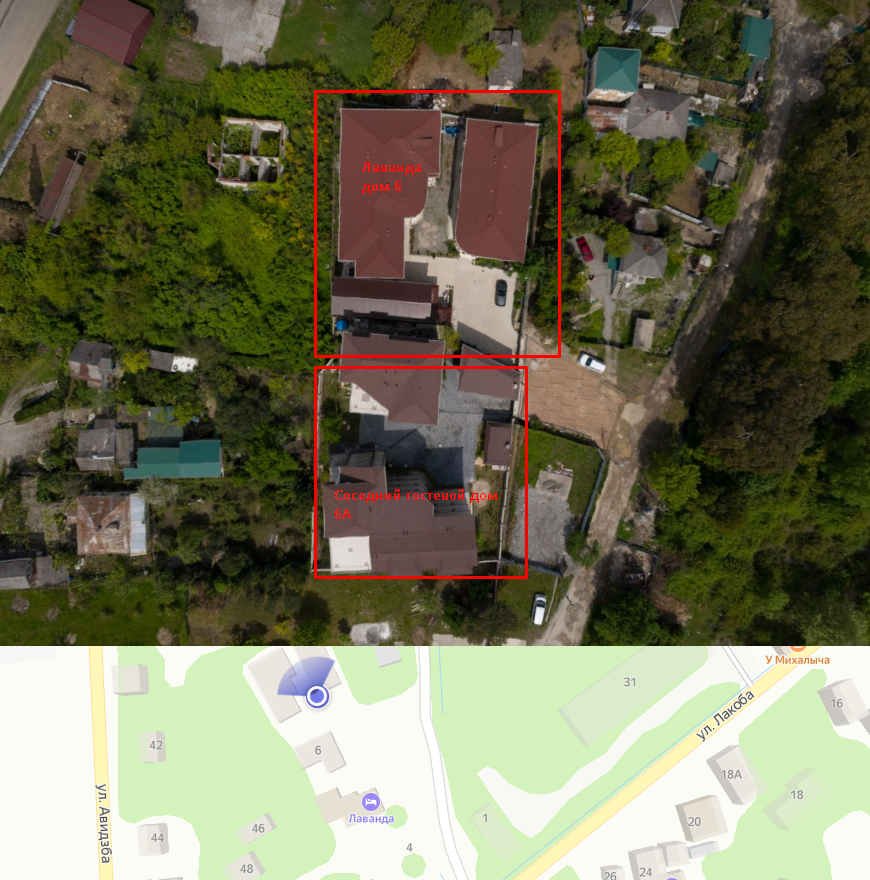 Фото Лаванда