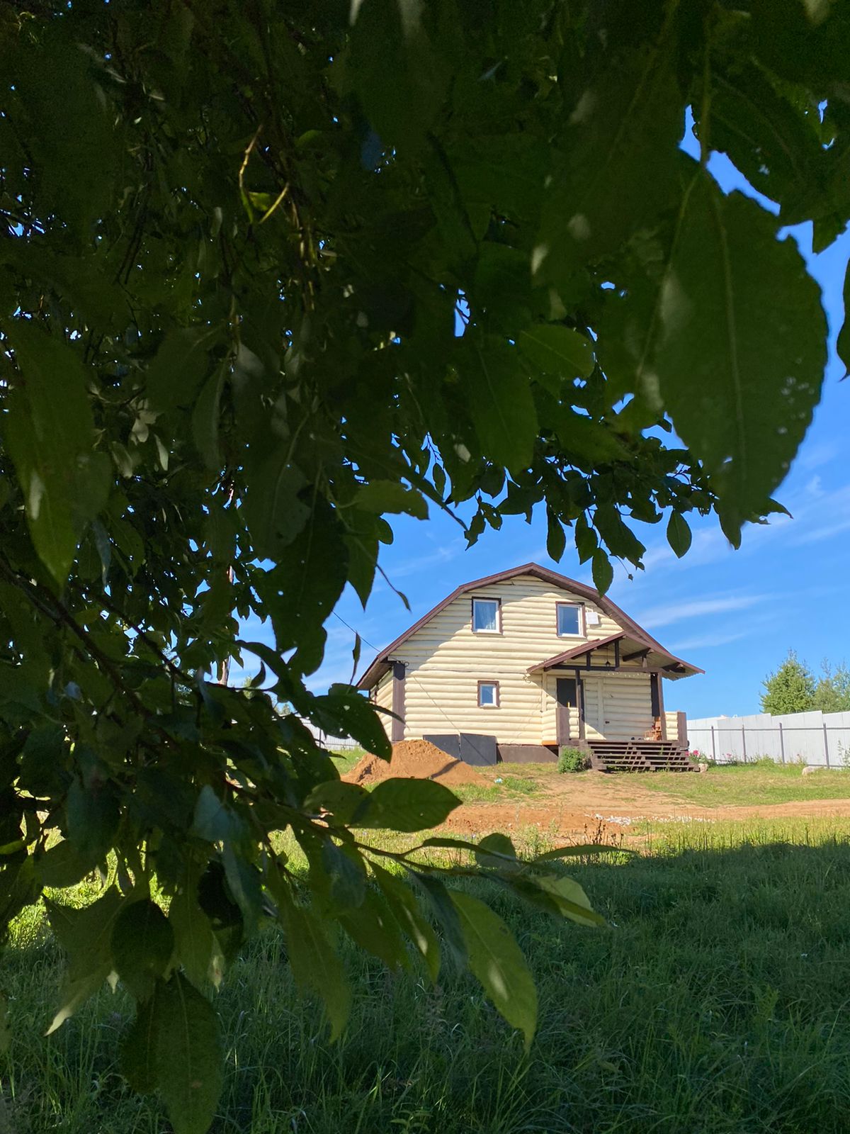 Фото Ласточкины гнёзда