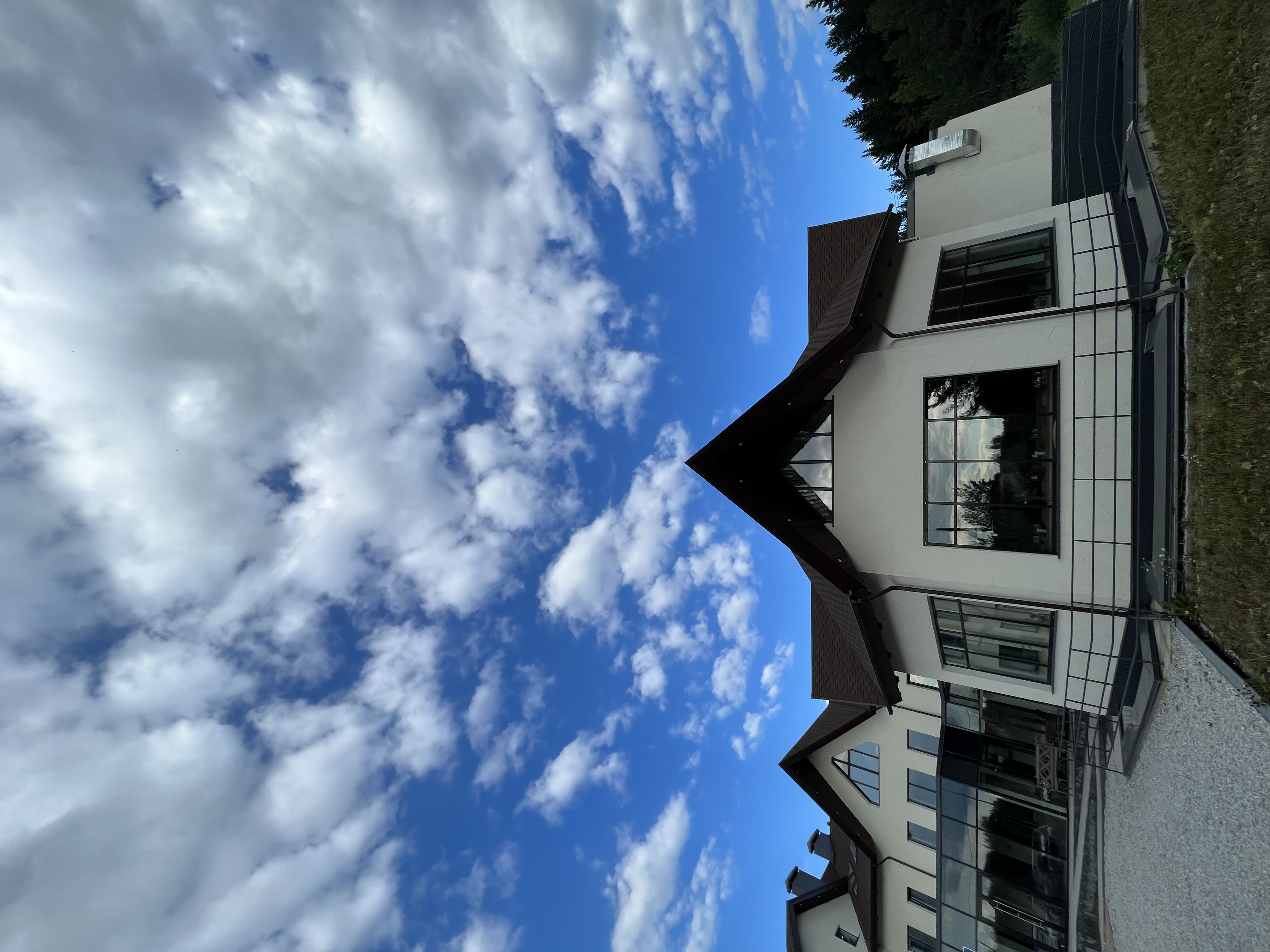 Фото Клевер