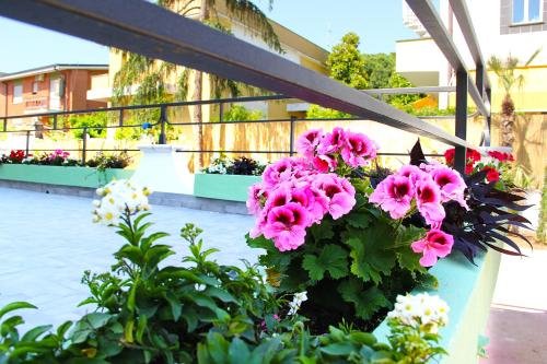 Фото Hotel Villa Chiara