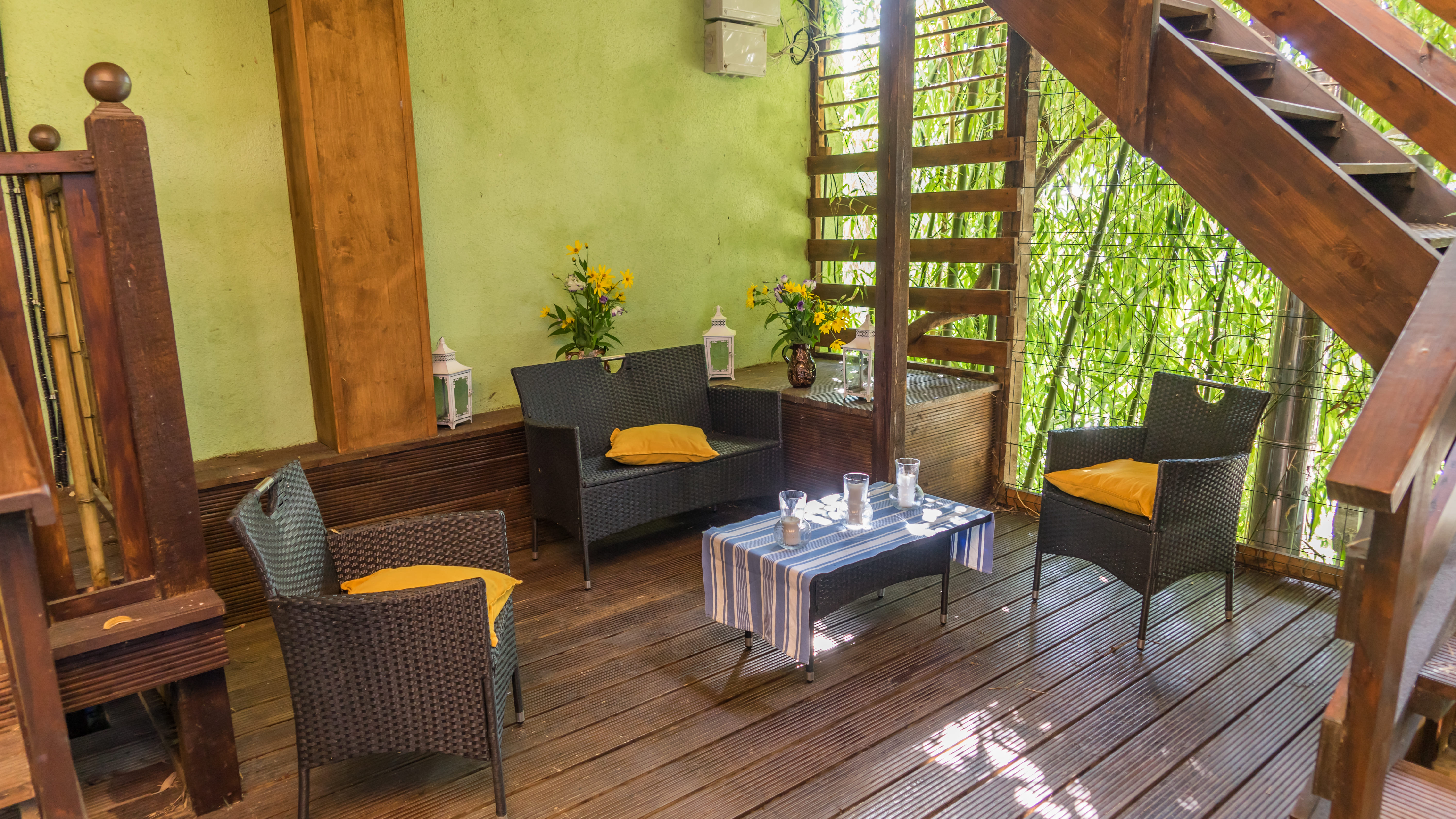 Фото Бамбук хутор