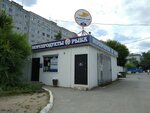 Rybny mir 55 (ulitsa Dianova, 13/5), pescados y mariscos