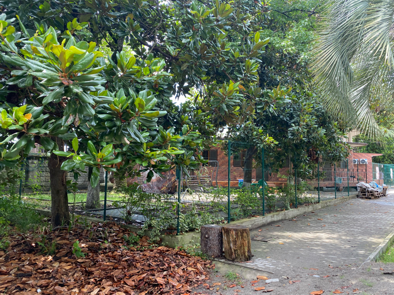 Фото Riva Del Mare Gagra