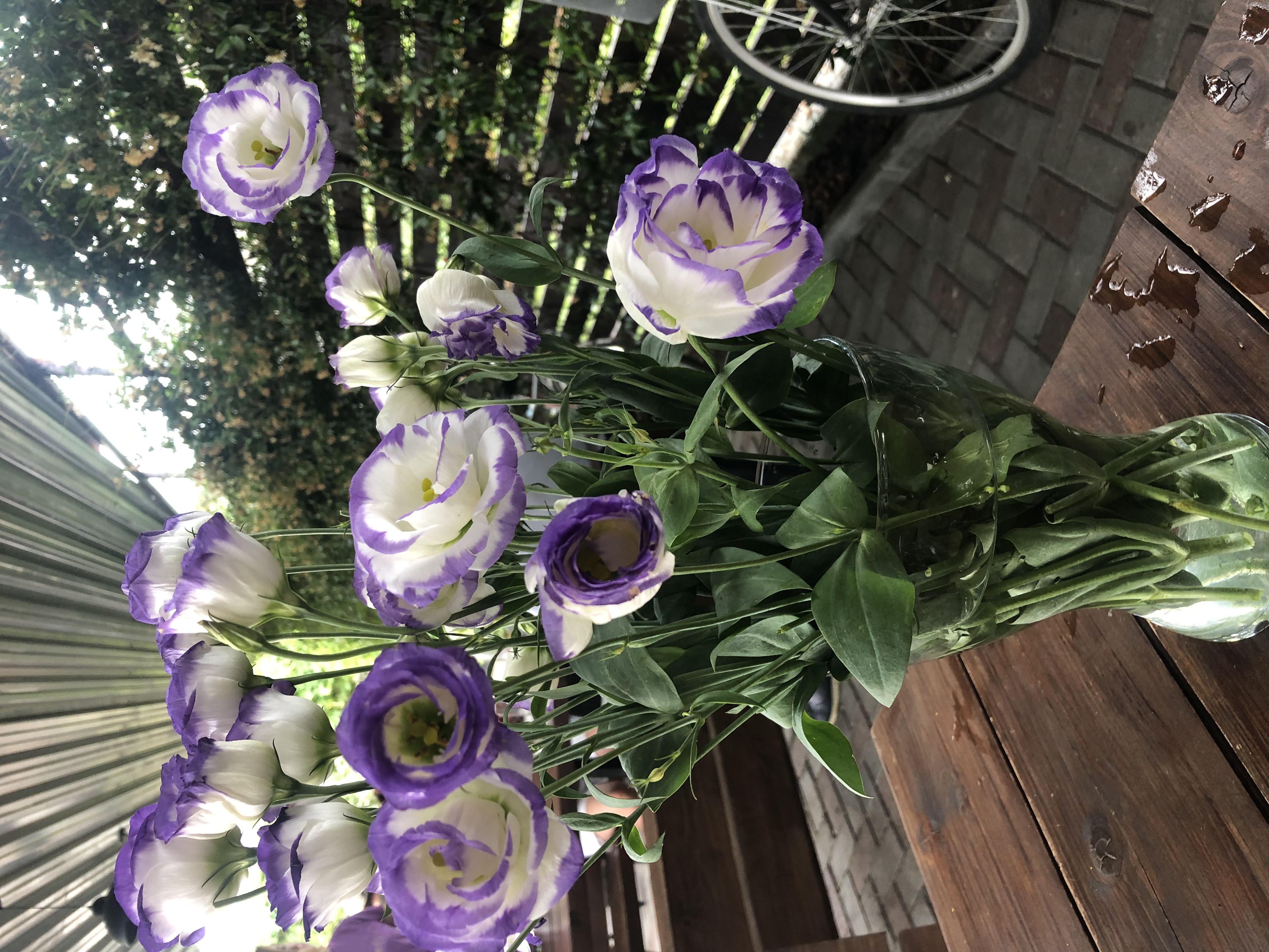 Фото Mandarin Hotel