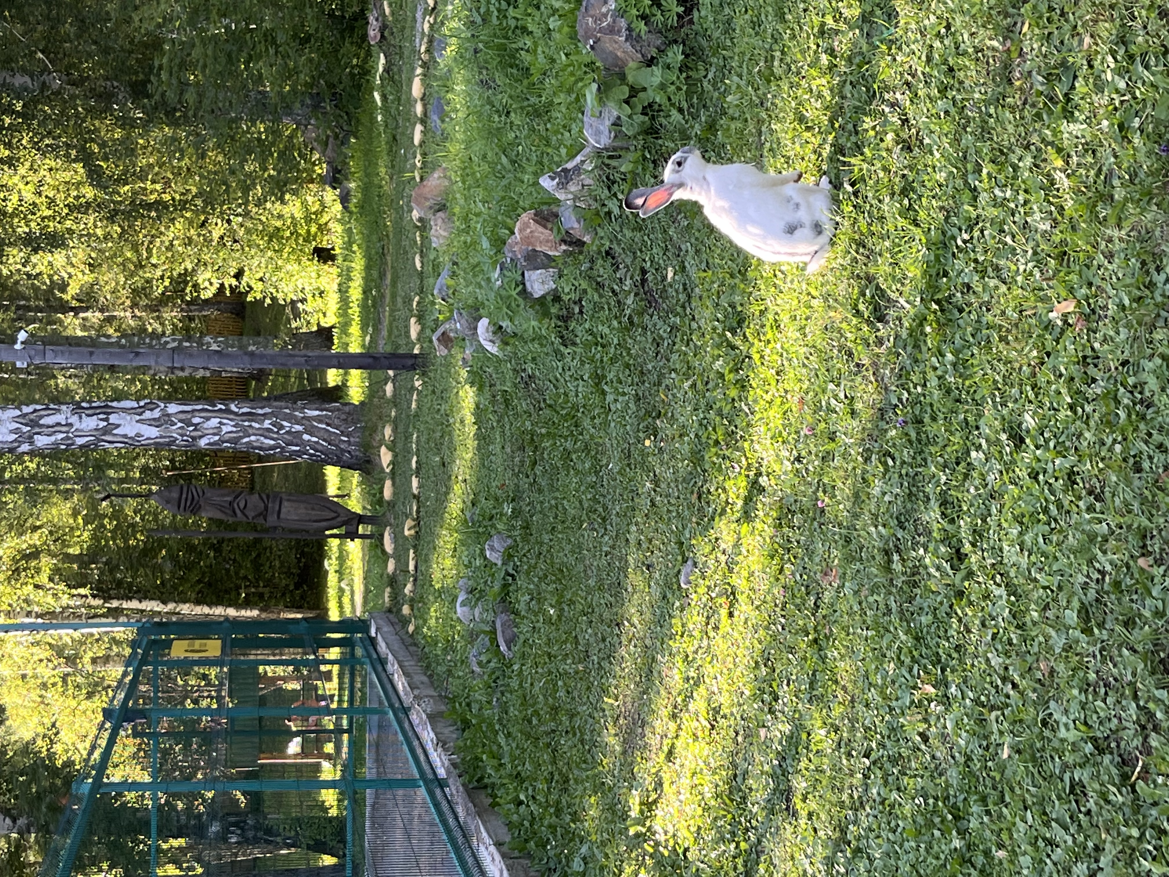 Фото Империя Туризма