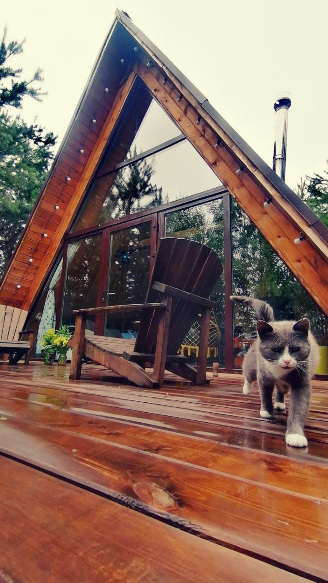 Фото О, Дни в Лесу