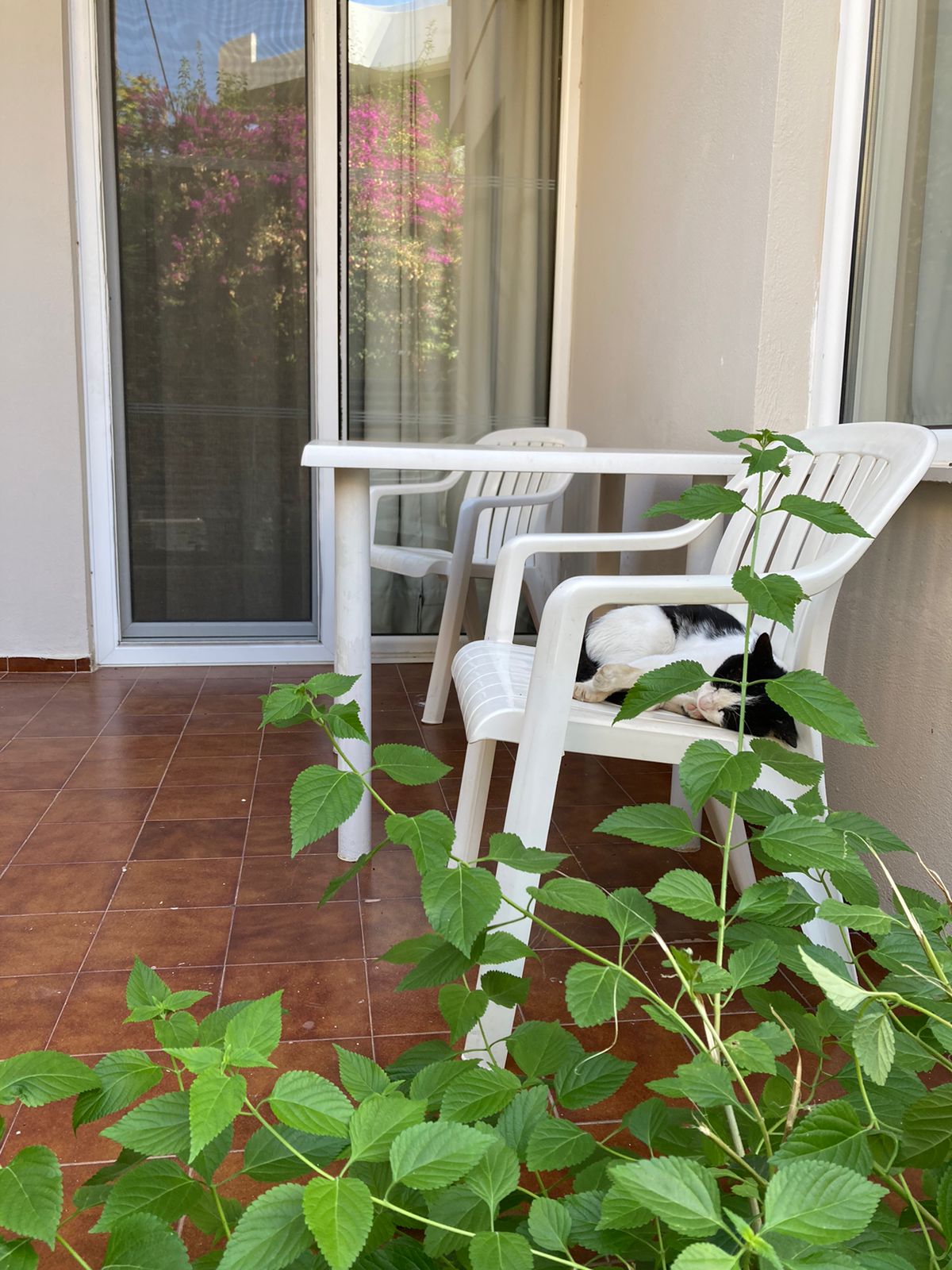 Фото Caravel Apartment Hotel