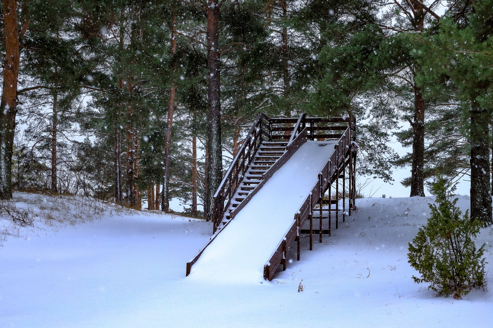 Фото Заостровье