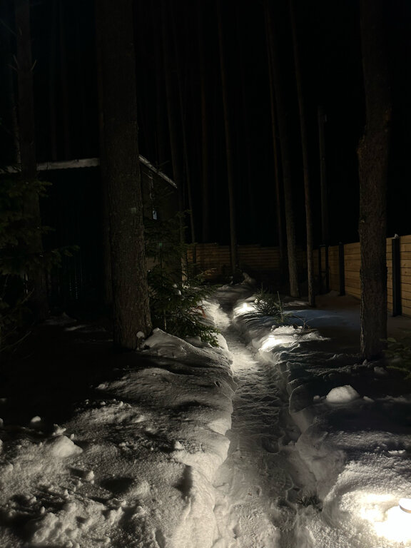 Фото Ёлки да Сосны