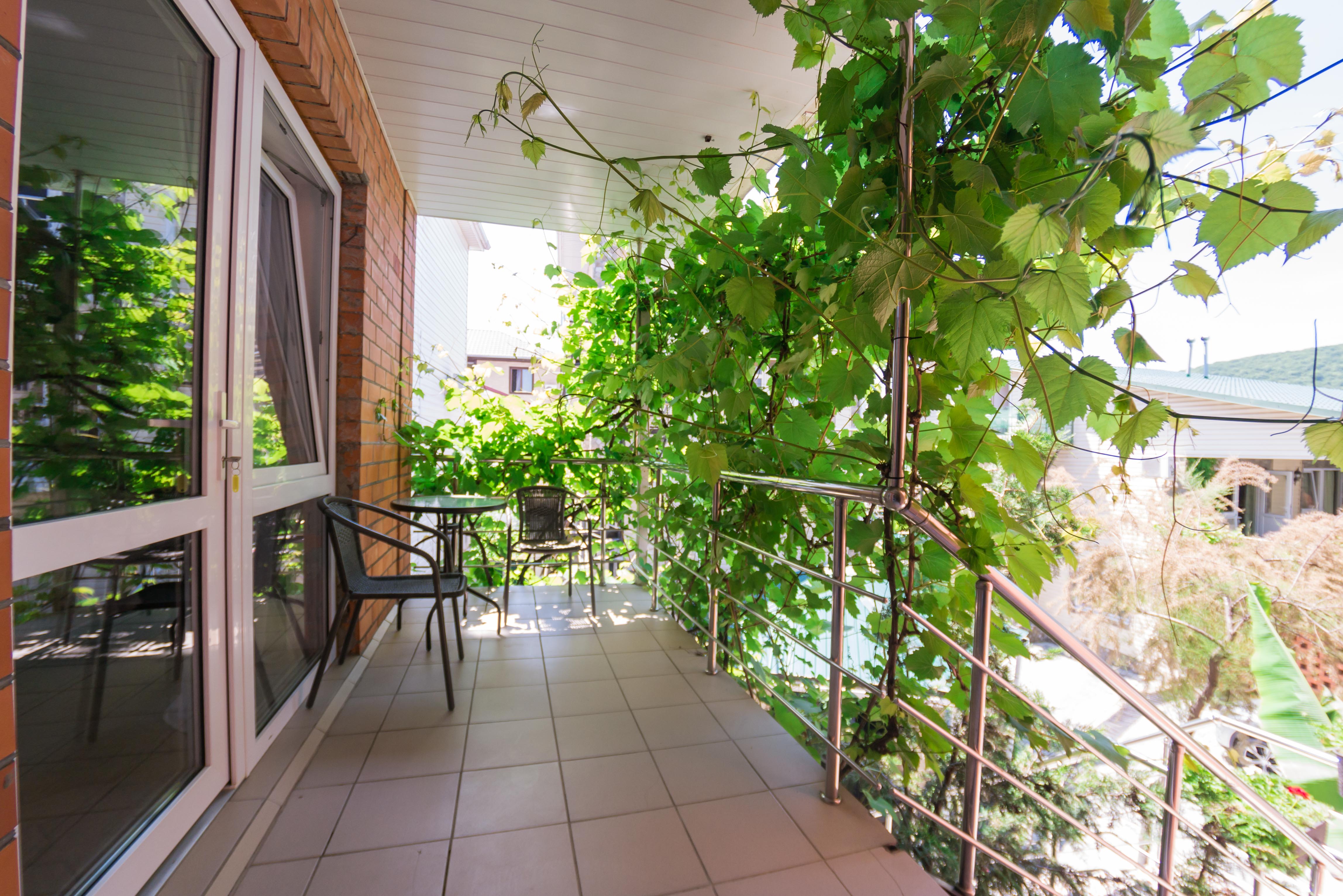 Фото Березы