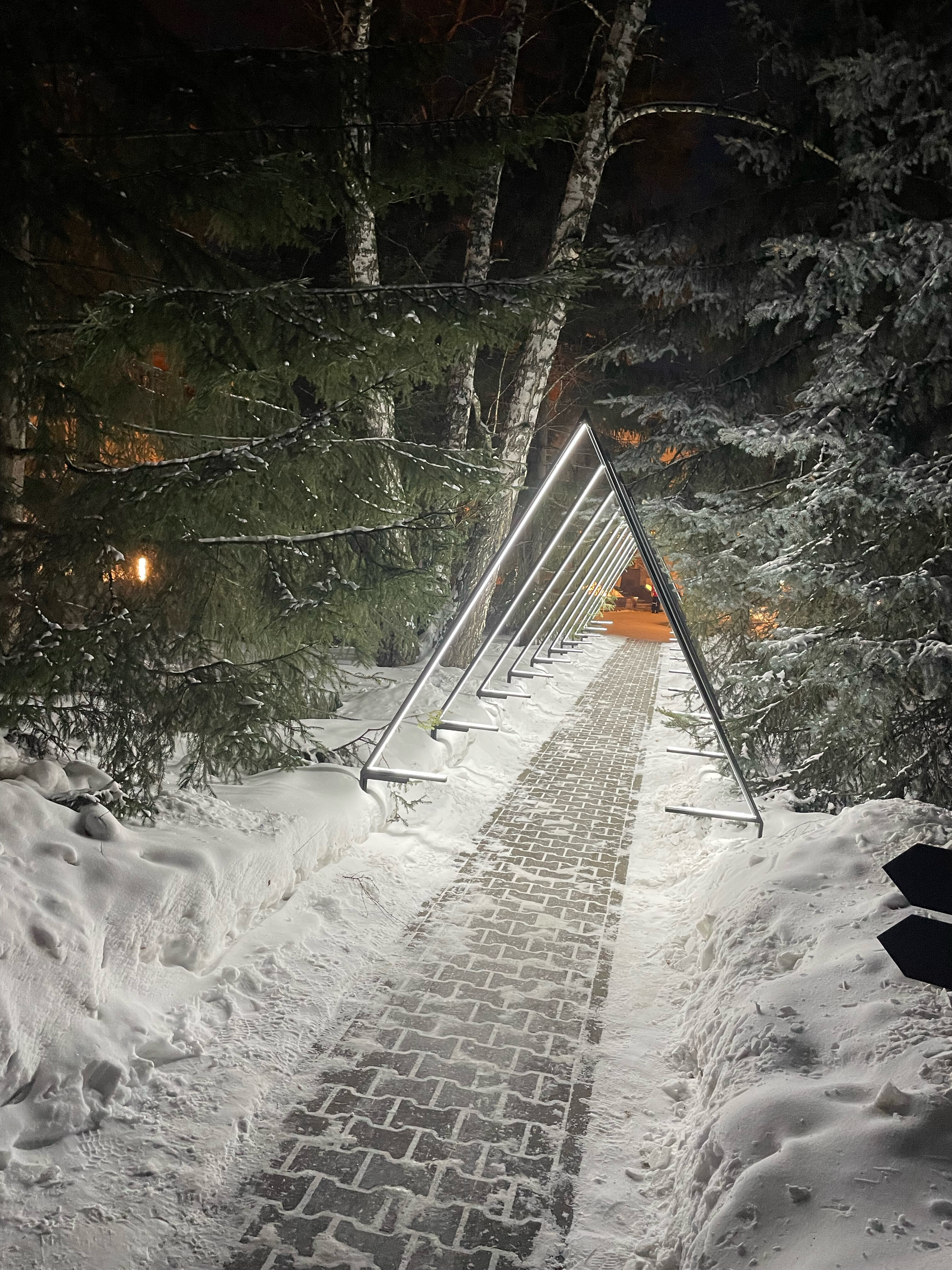 Фото Сосновый бор