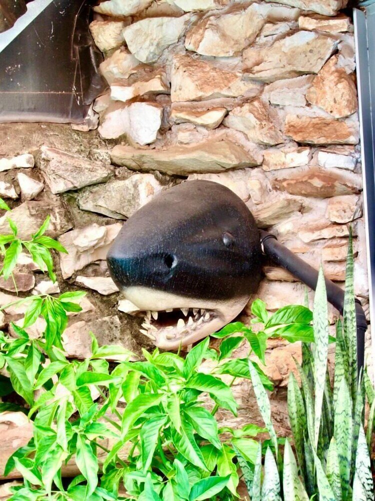 Фото Recanto Eco Suites