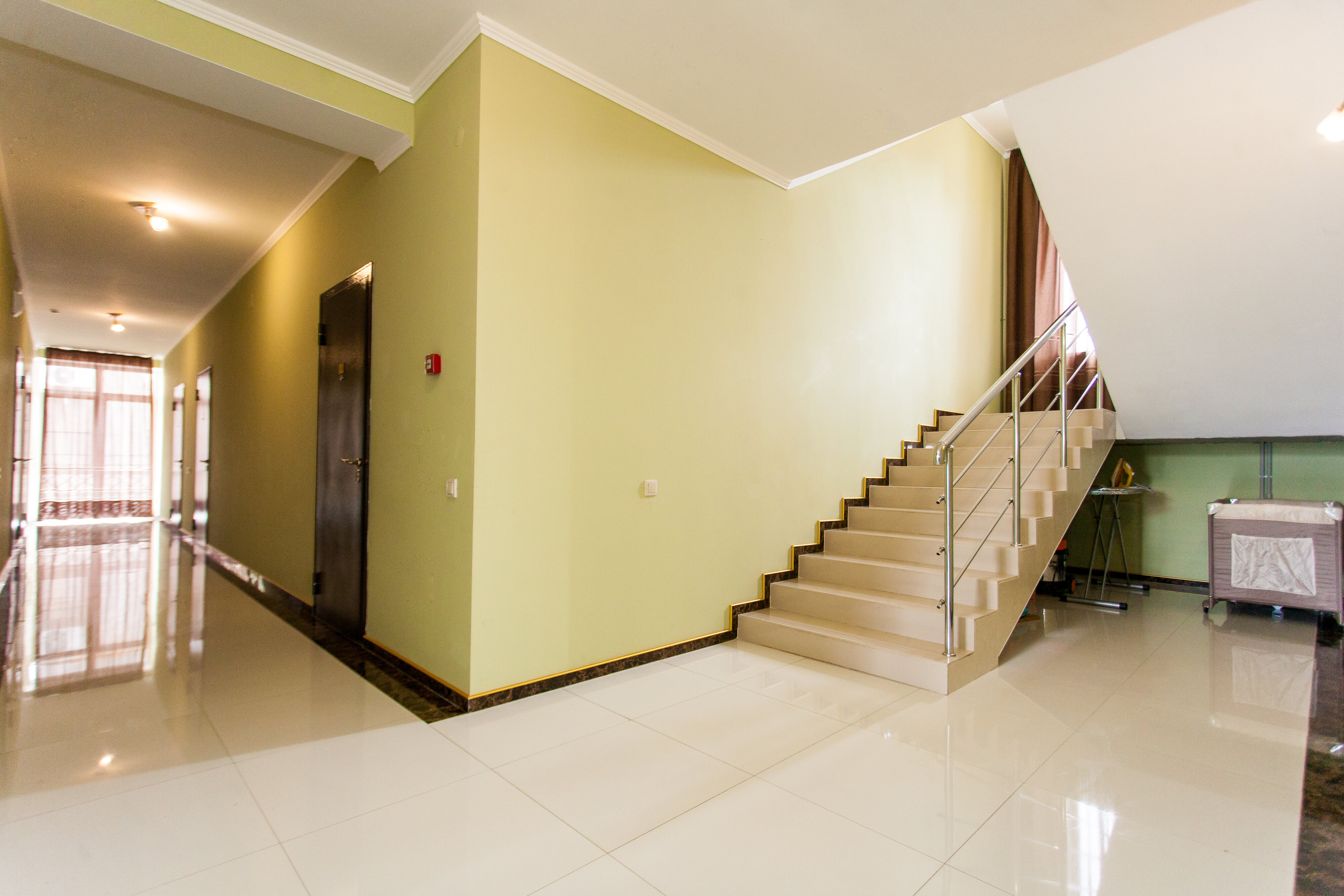 Фото Мангостин