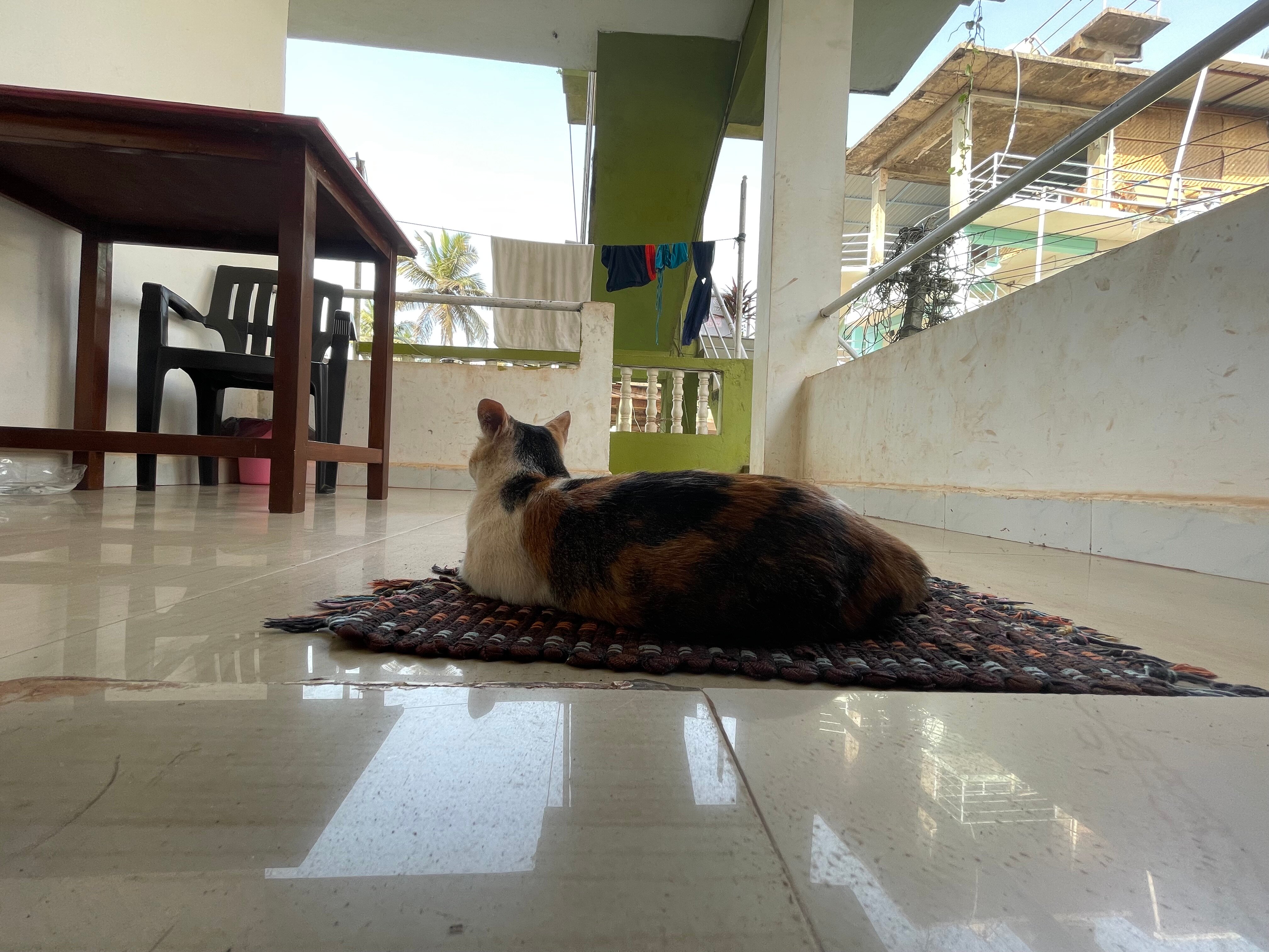 Фото Swati Hotel