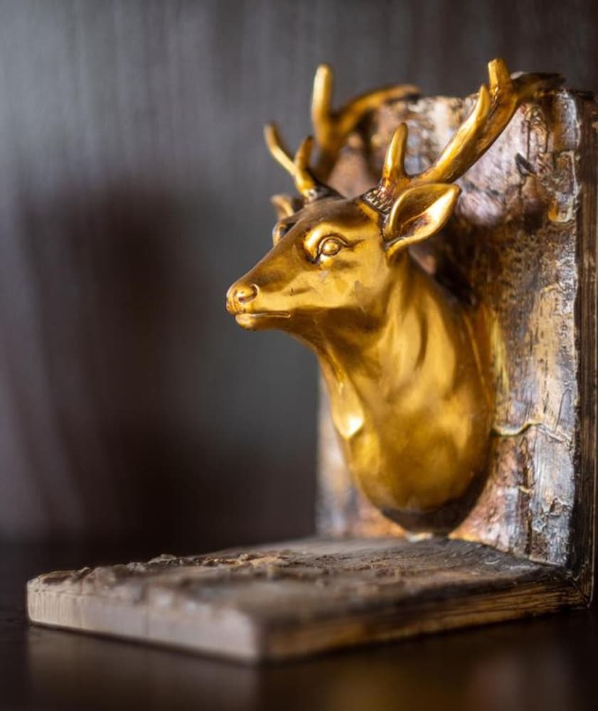 Фото Vienna Luxury Apartments Schönbrunn