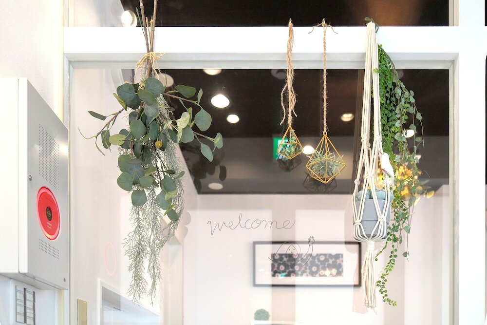 Фото Vivid Zebra House - 197-1