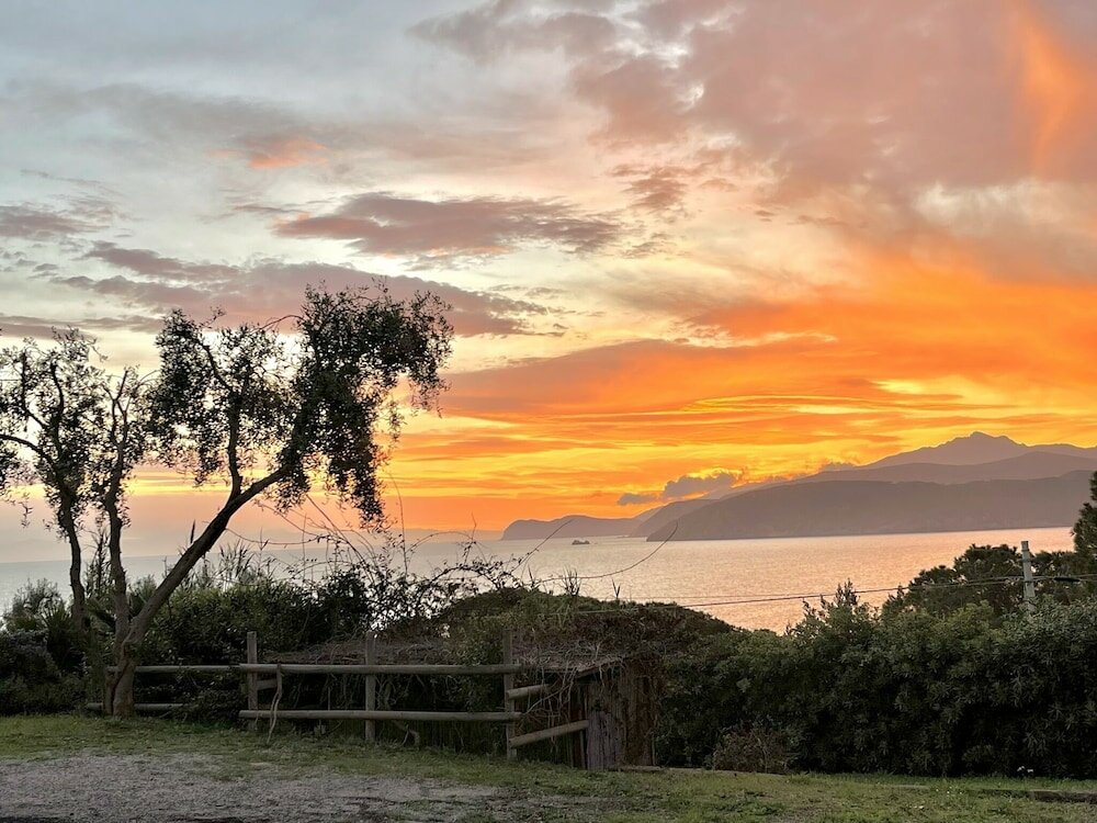 Фото Les Bouganvilles by SolturElba