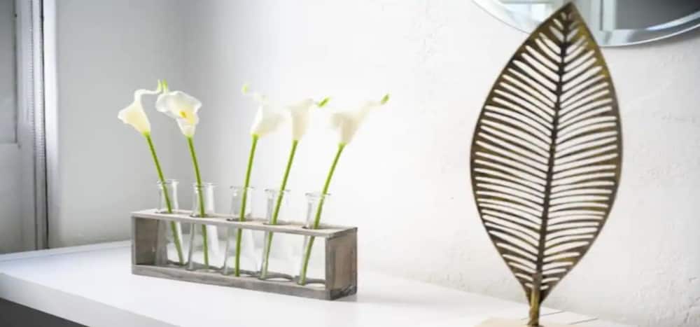 Фото Praia Hotel Hollywood