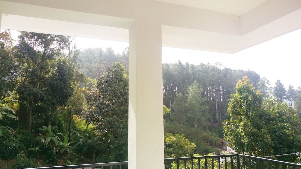 Фото Misty Elegance Ella