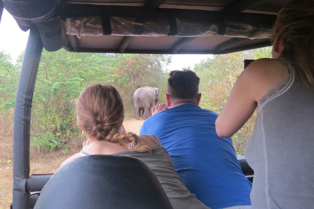 Фото Big Game Yala by Eco Team