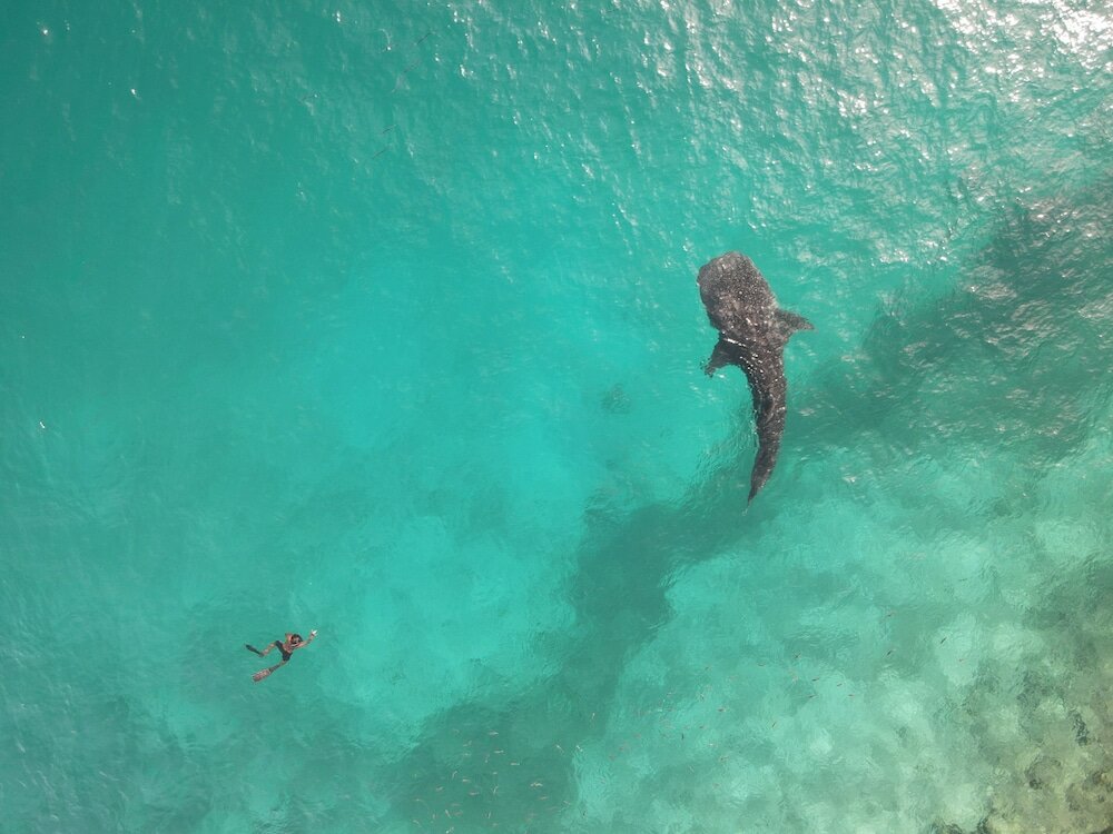 Фото Thundi village and SPA