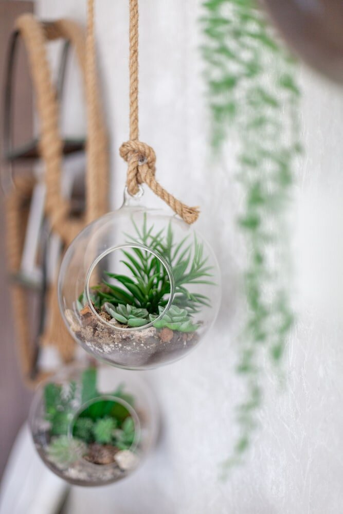 Фото The Ravenscourt Park Collection