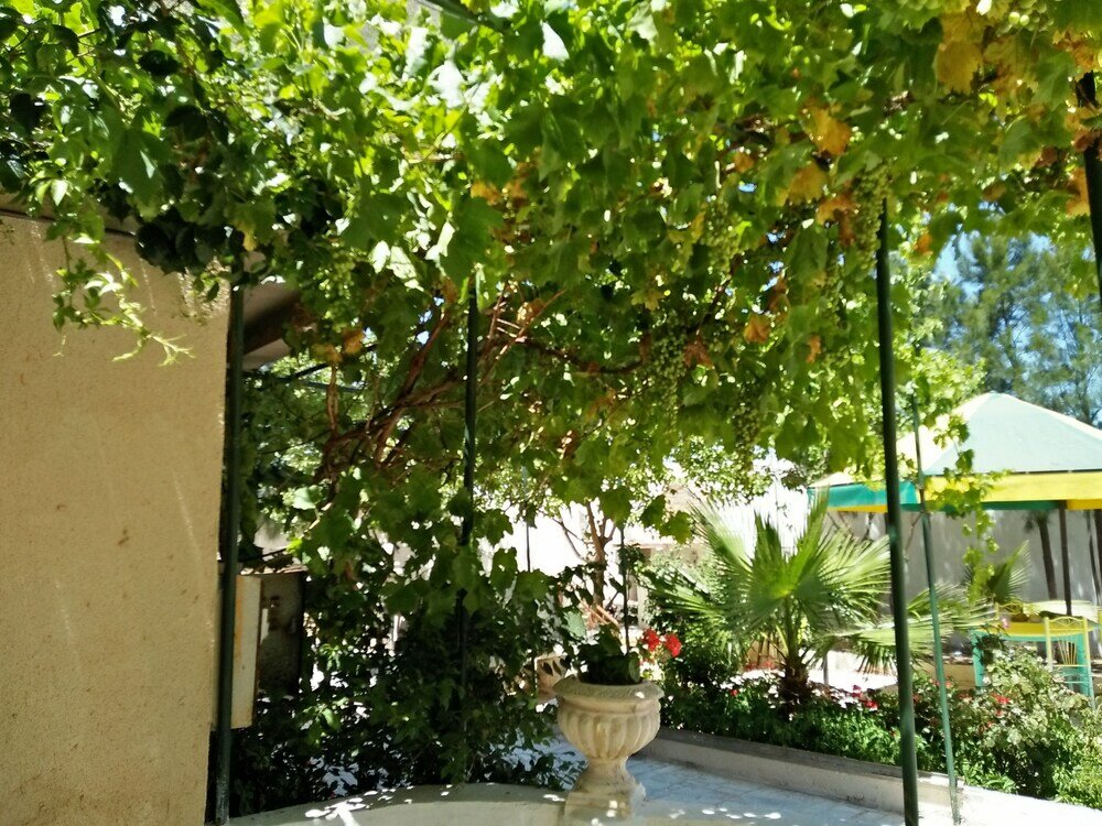 Фото Résidence Apulée