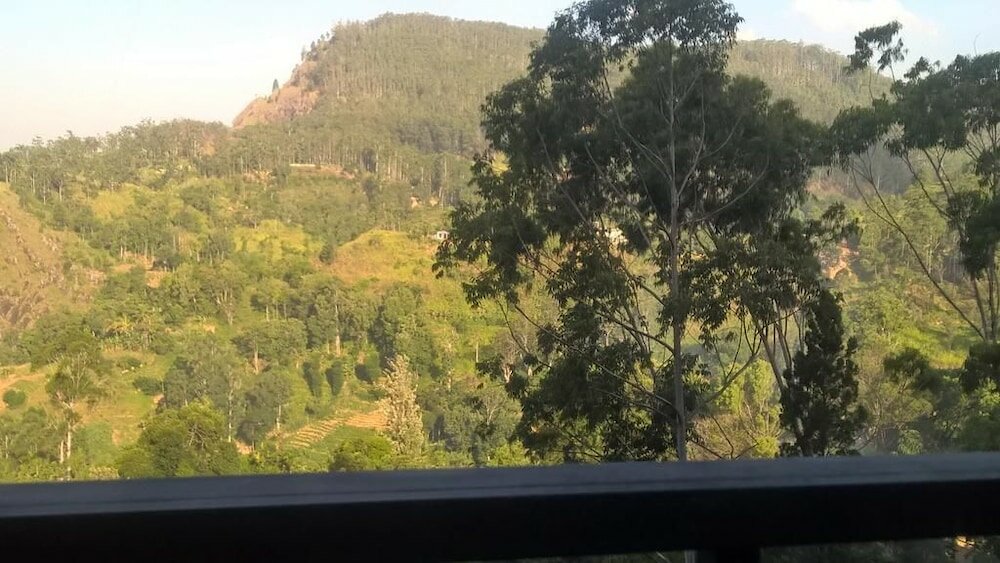 Фото Cloudy Hill Cottage