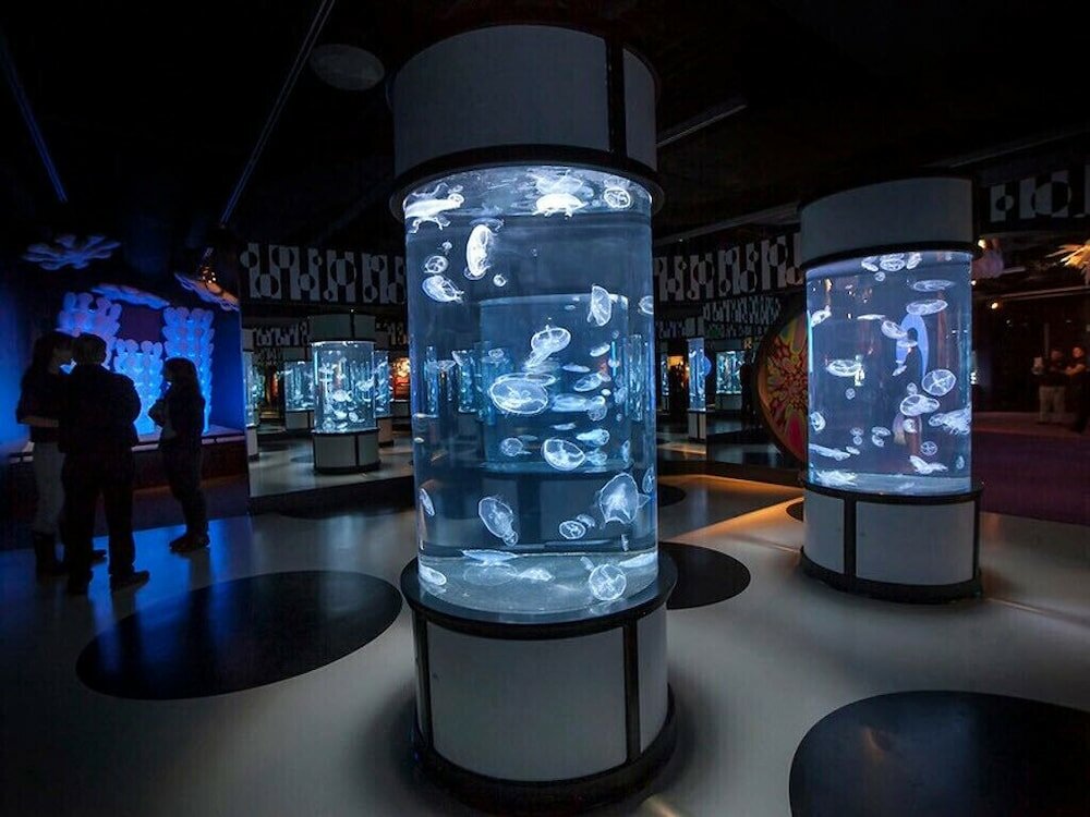 Фото Solymar Cancun Condos