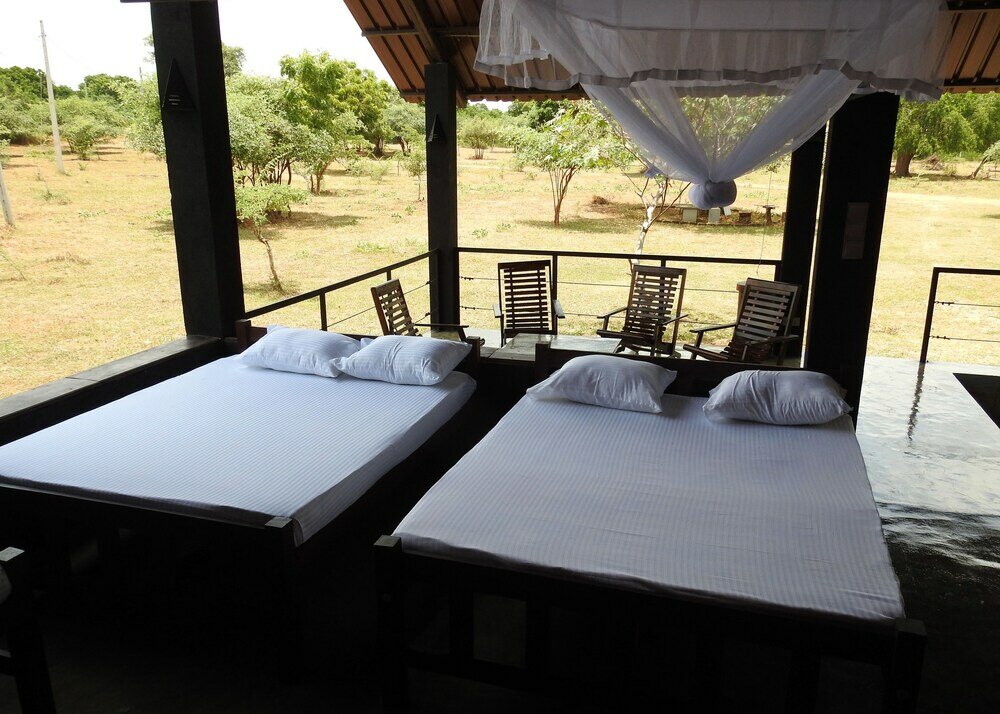 Фото The Elephant Pass Yala - Hostel