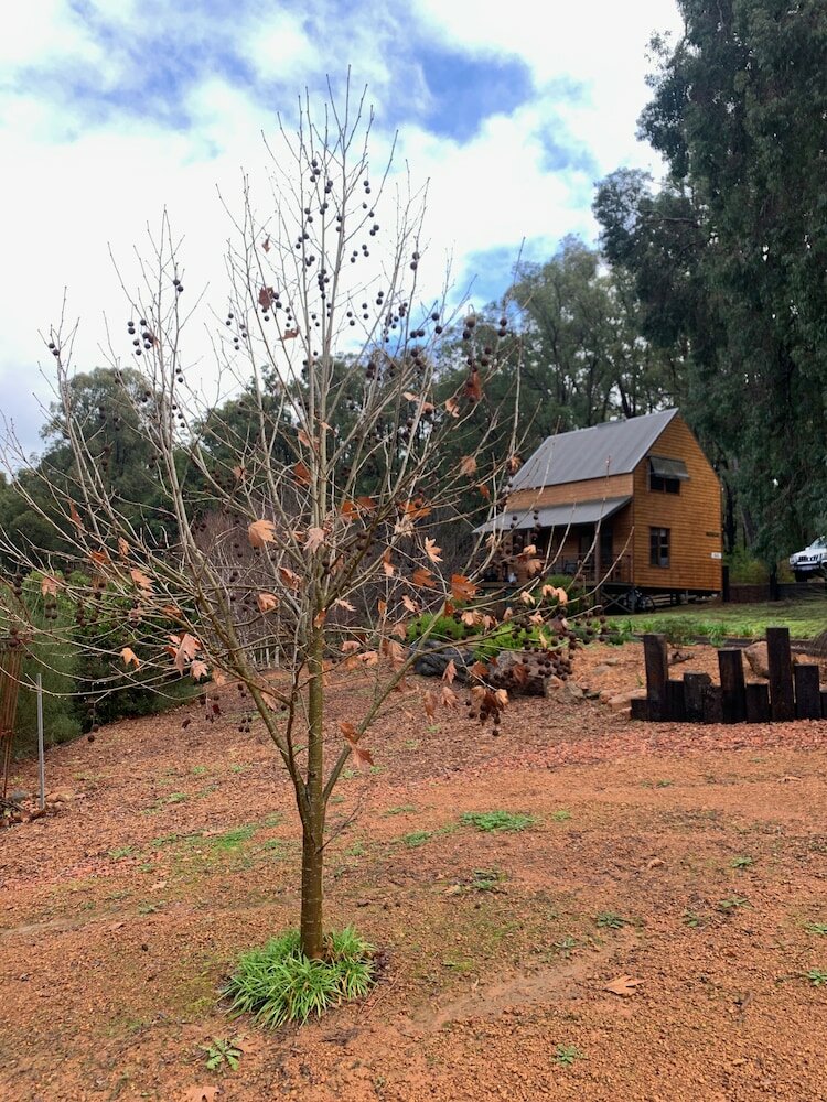 Фото Noble River Estate