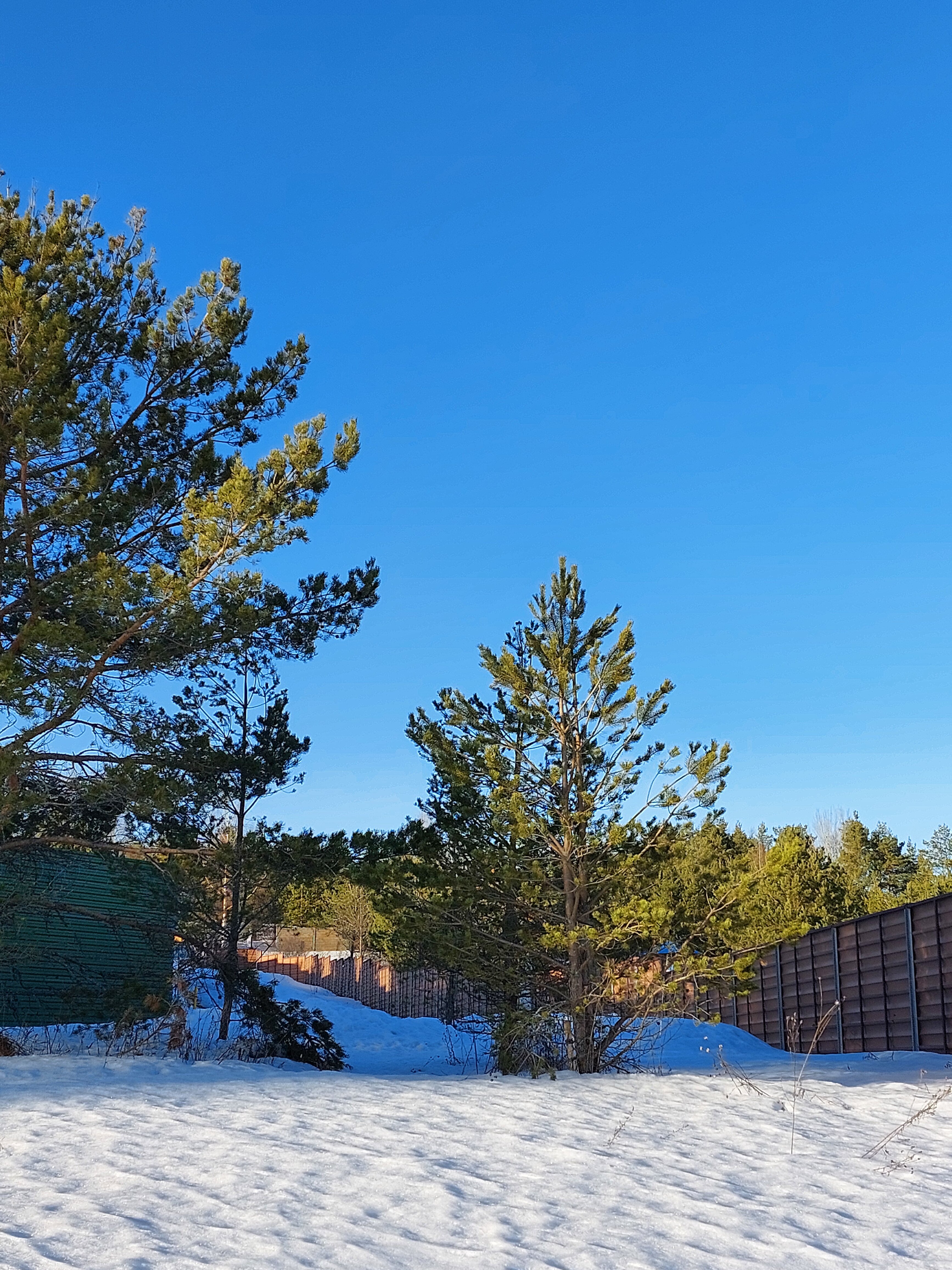 Фото Валдайские дачи