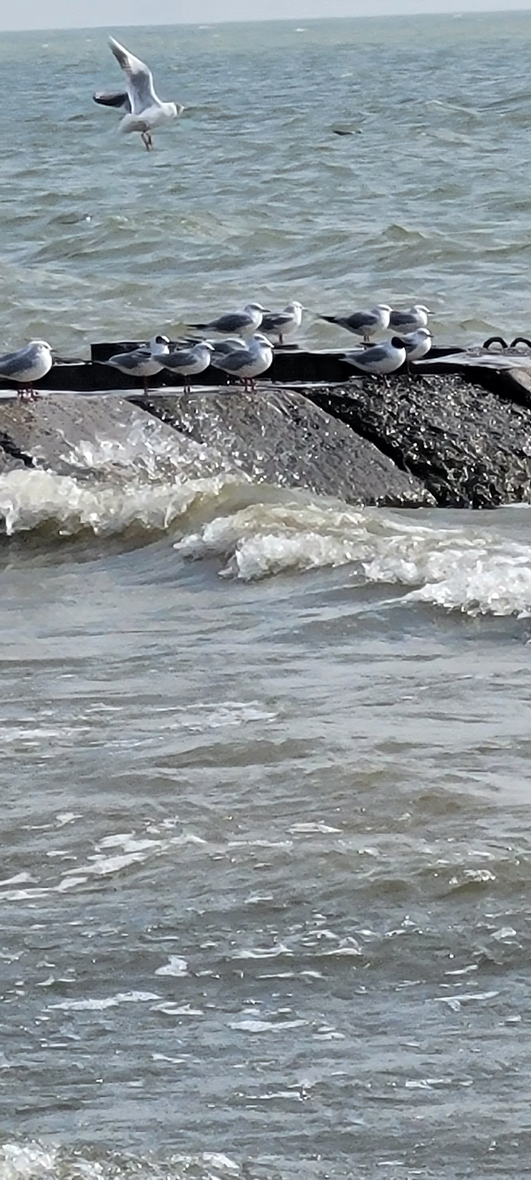 Фото Ассоль