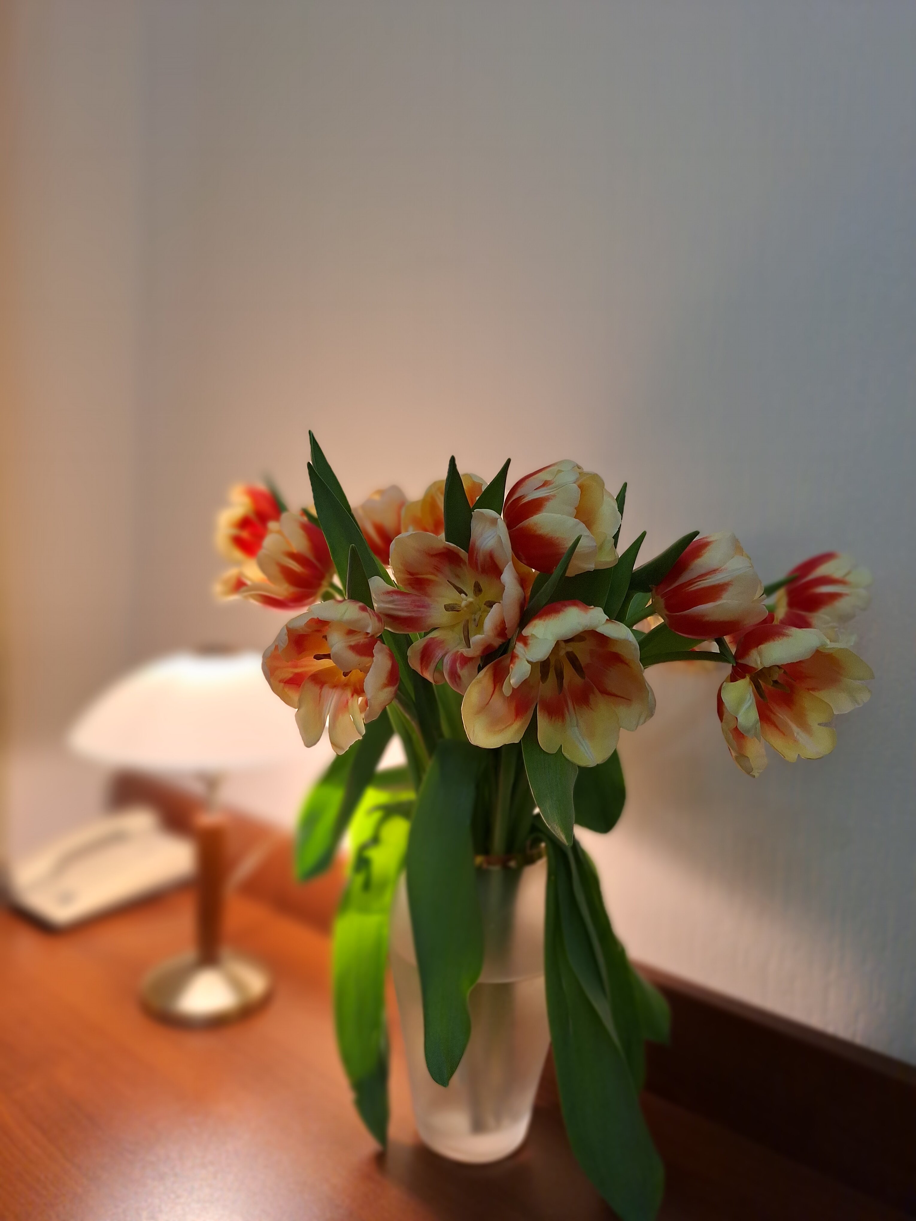 Фото Руссия