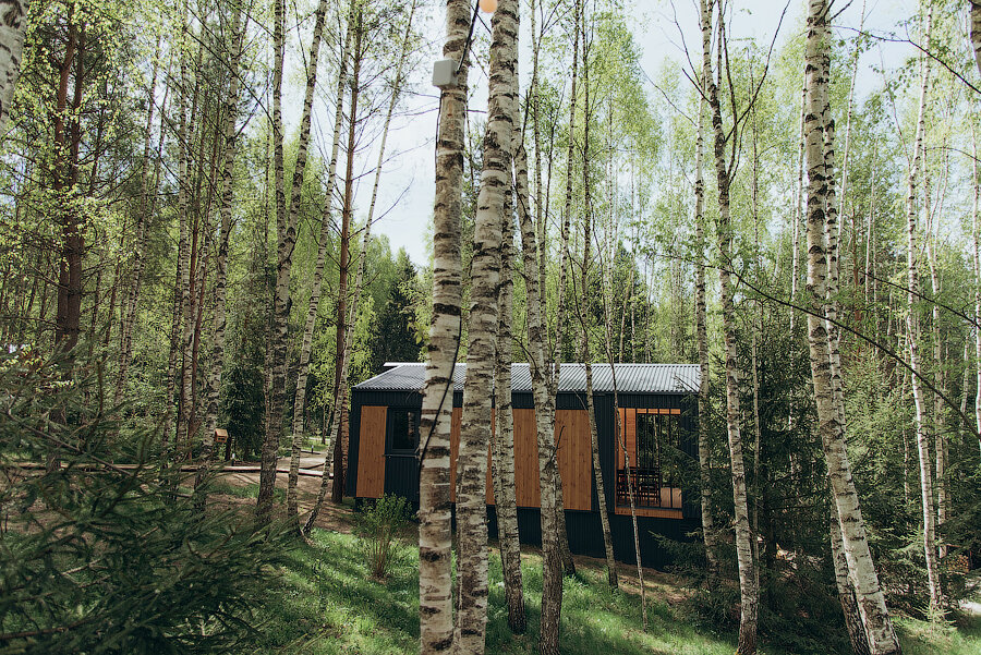 Фото Никольские росы