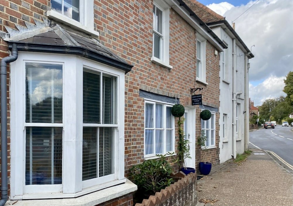 Фото Chestnut Tree