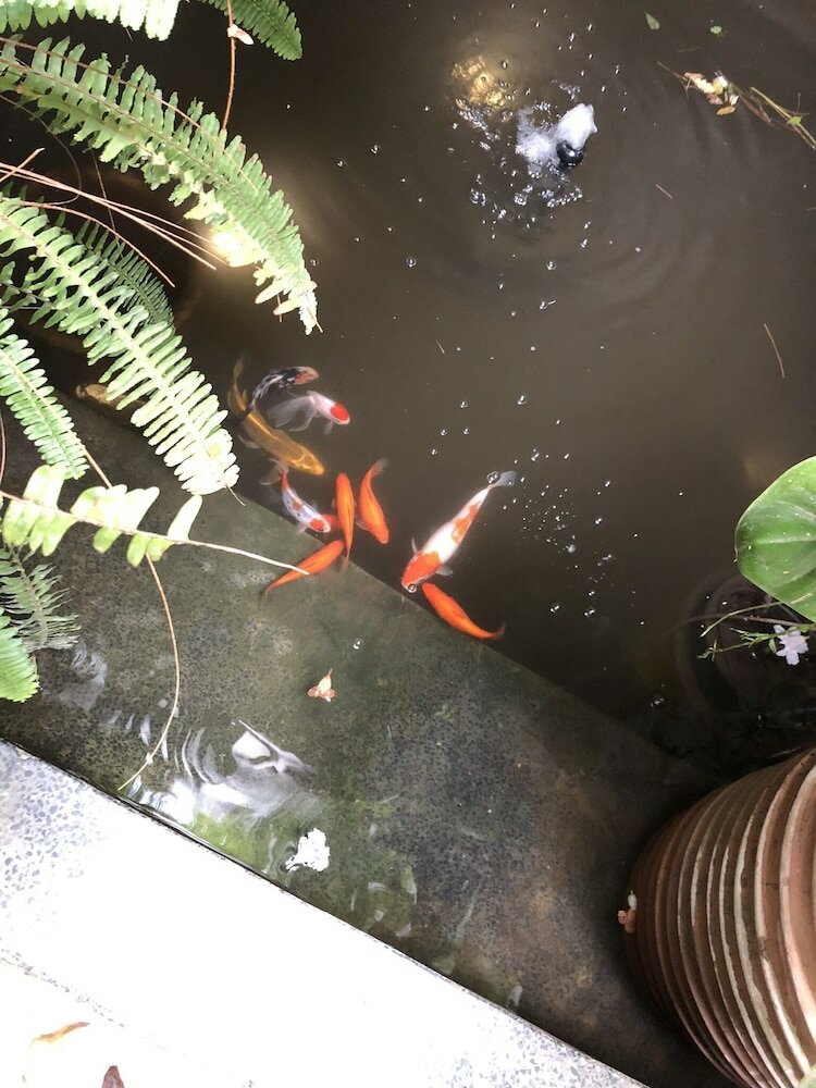 Фото Riad Tibibt