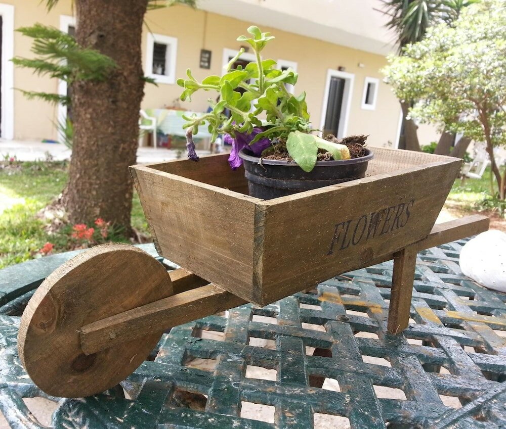 Фото Gongis Studios