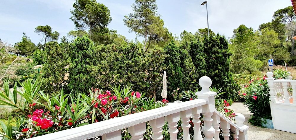 Фото Granada Apartments Ibiza