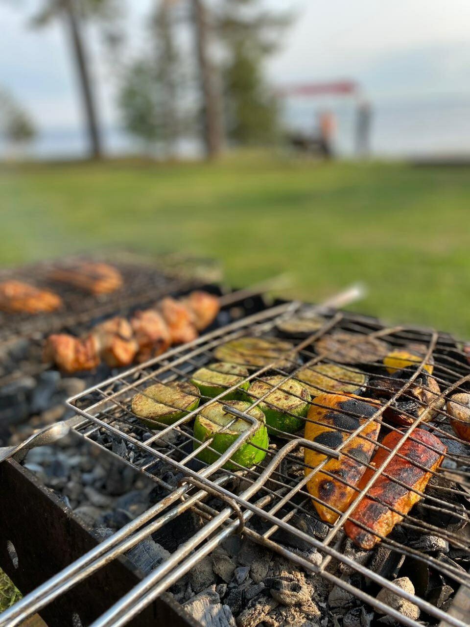 Фото Солнечный бор