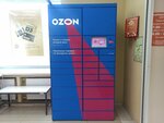Ozon (Lenina Avenue, 93), servicio postamat