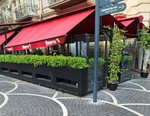 Shaurma № 1 (Nesimi District, Nizami Street, 91A) ، وجبات سريعة