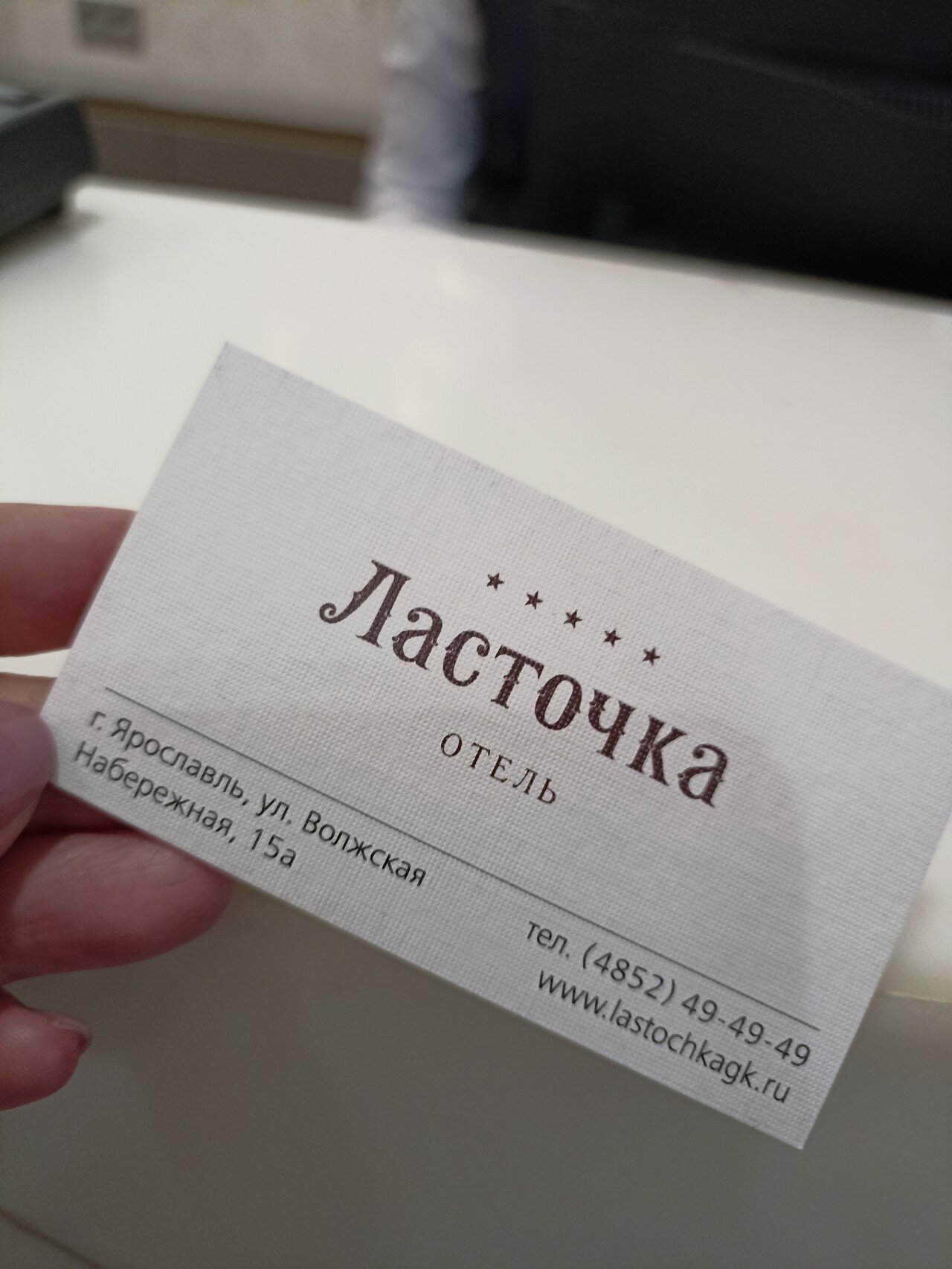 Фото Ласточка