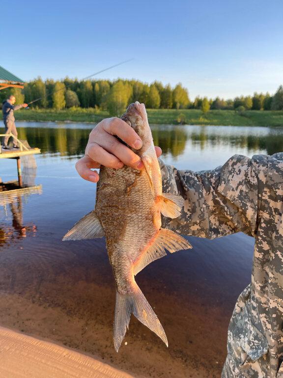 Фото У Аркадьевича