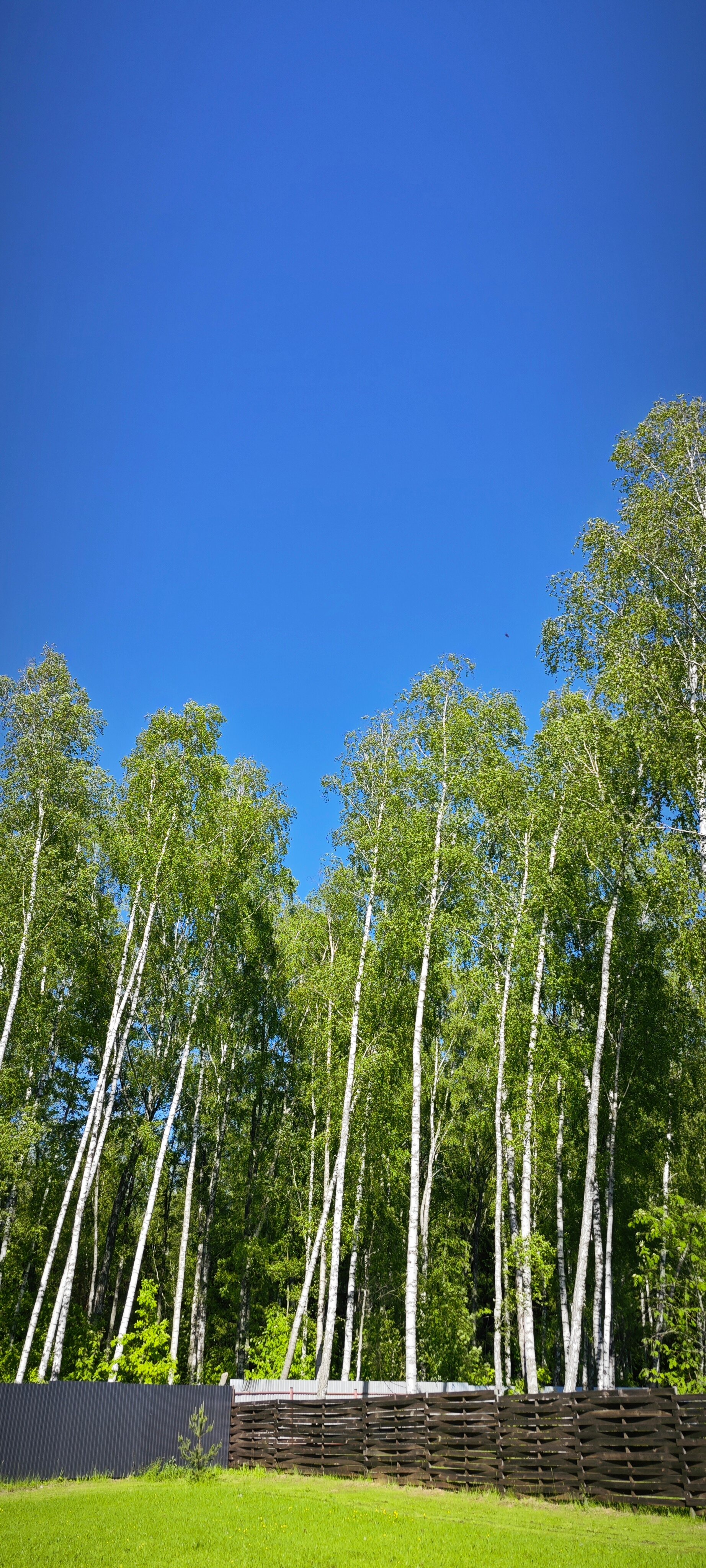 Фото Bereza Country