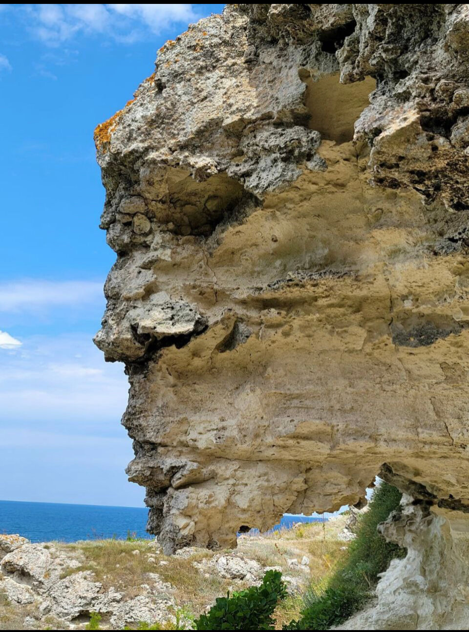 Фото Морская Звезда