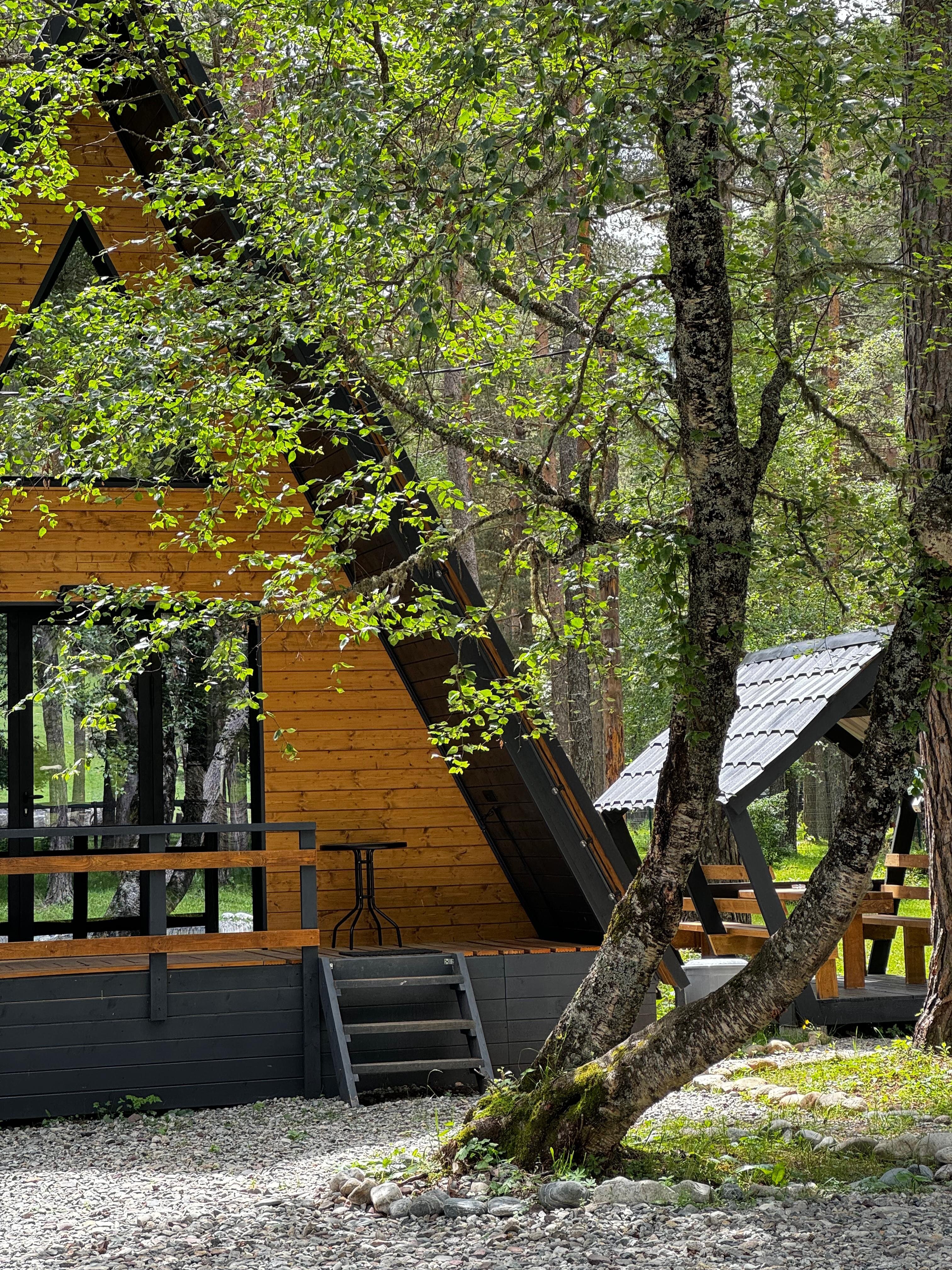 Фото Истера трэвл