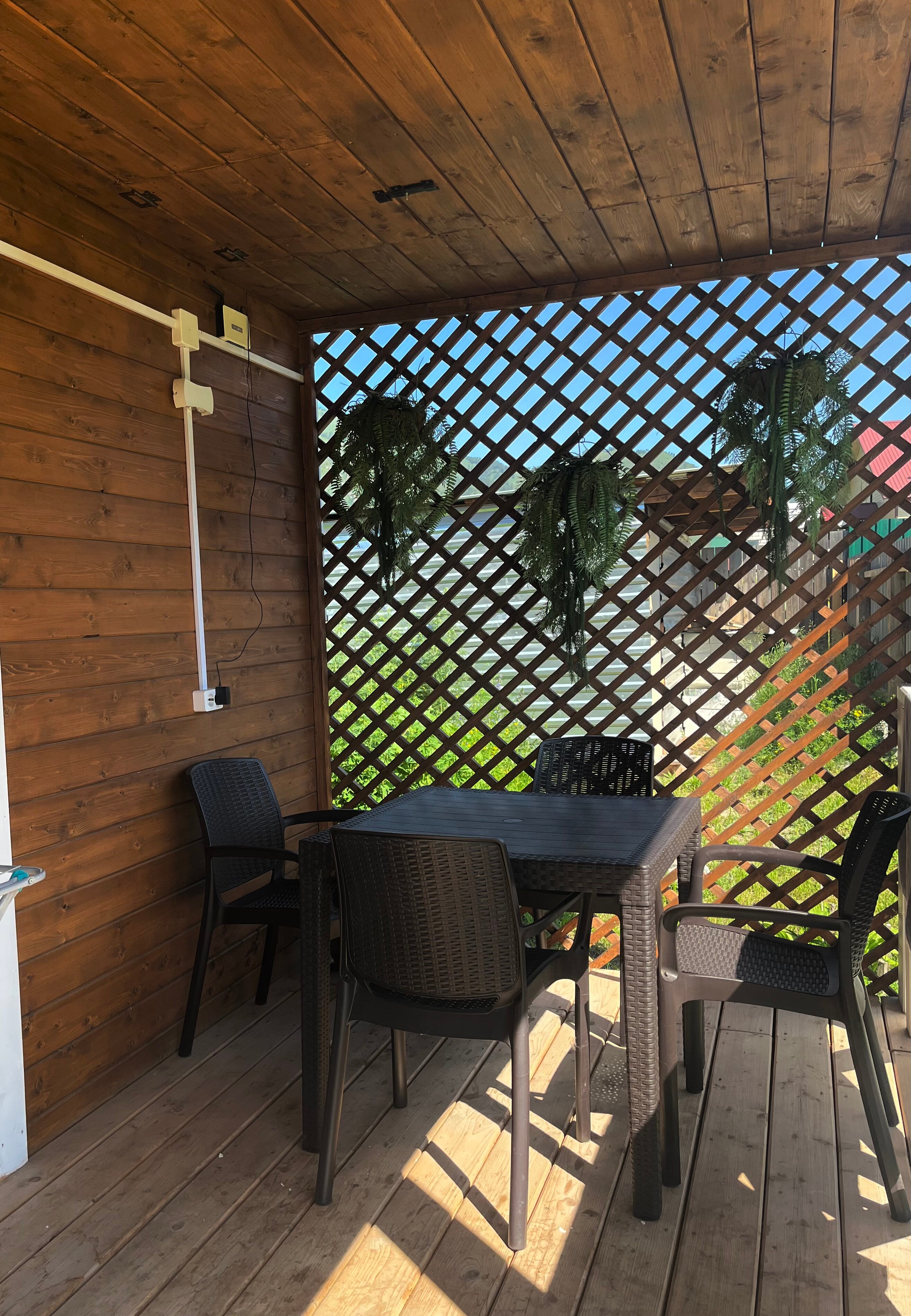 Фото Друзья