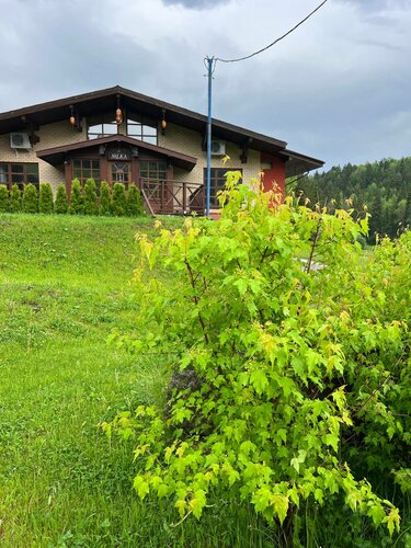 Хостел Межа в Тобольске